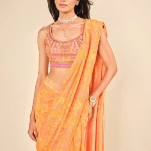 kanchi pre draped saree kanchi pre draped saree